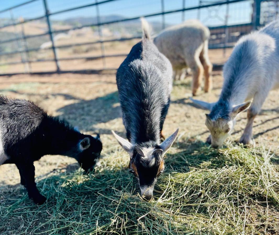 Rustic Farm Stay Temecula Kültér fotó